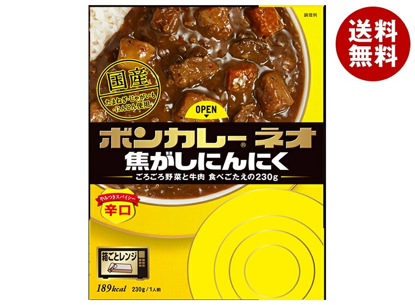 大塚食品 ボンカレーネオ 焦がしにんにく やみつきスパイシー 辛口 200g＊30個入
