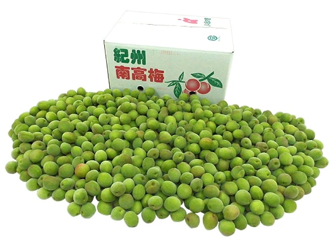 奈良/和歌山産 =南高梅= ちょっと訳あり S/M 約10kg 予約 6月初旬以降