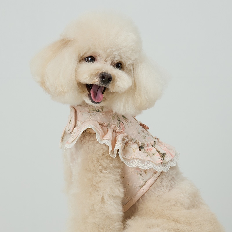 コクーンフリル 犬用ワンピースハーネス(ver.tfp) 韓国製 チチアンドコー 正規品 可愛い フリル 柔らかい 快適 上品 プレミアム