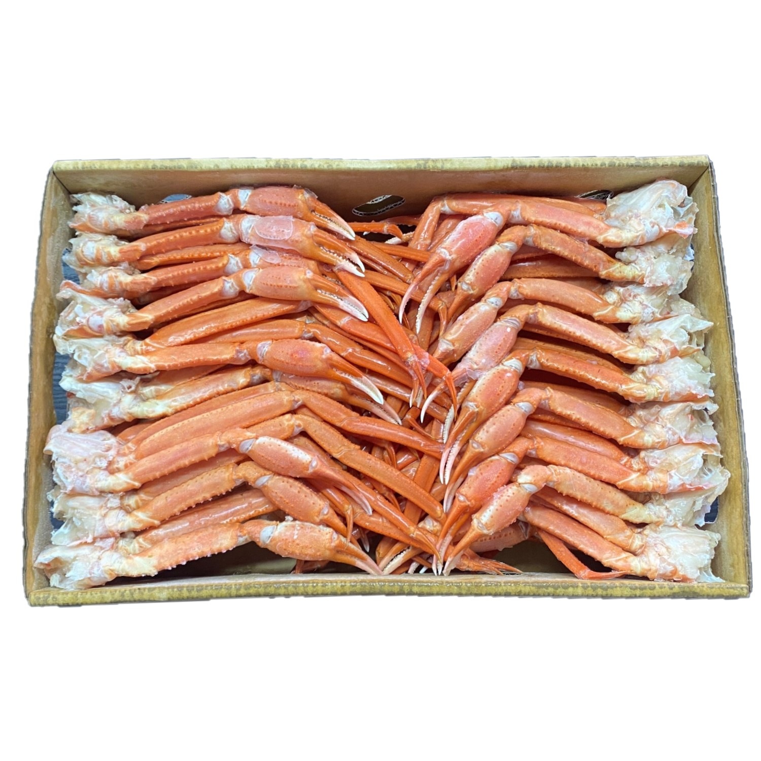 【前田水産】【訳あり】冷凍紅ズワイガニ セクション　不揃いサイズ　Sサイズ 約5kg箱　メガ盛り　冷凍品　訳あり　B品　父の日　お歳暮　母の日　かに　ずわい　ズワイガニ　ズワイ　蟹　紅