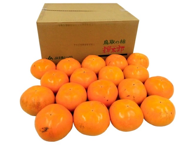 鳥取産 =輝太郎柿= 訳あり 約6kg 大きさおまかせ 予約 10月以降