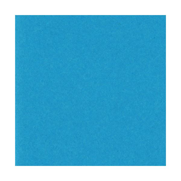 リンテック ニューカラーR 四つ切 うすあお 4NCR-216 100枚