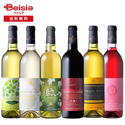 現代聖書注解 11冊セット 【公式通販】