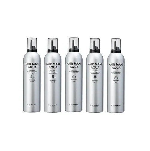 【5個セット】ヘアメイクアクア ムース 350g ハード