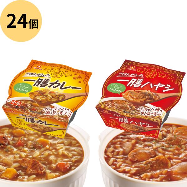 一善 カレー ・ハヤシ 1個250g 24個セット(2種各12個入り) レトルト食品 おくさま印 幸南食糧
