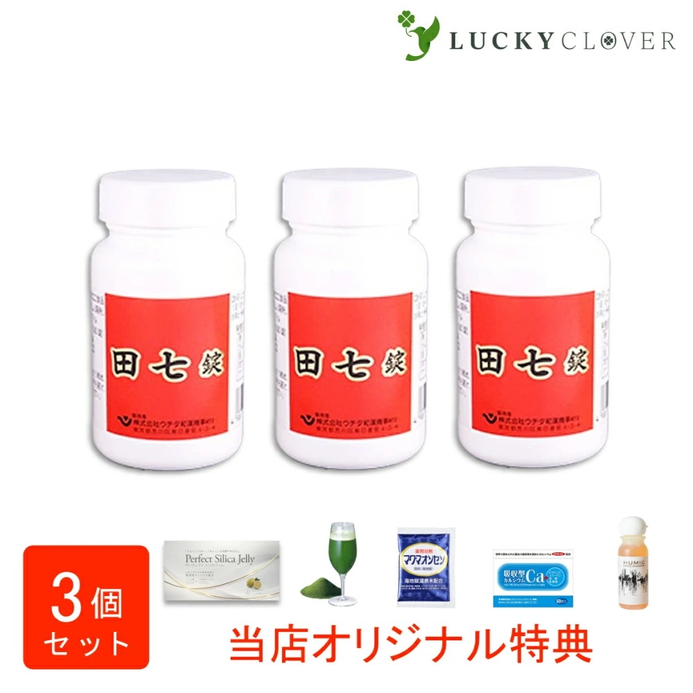 【選べるおまけ付き】【3個セット】田七錠 300錠3箱でんしち ウチダ和漢薬