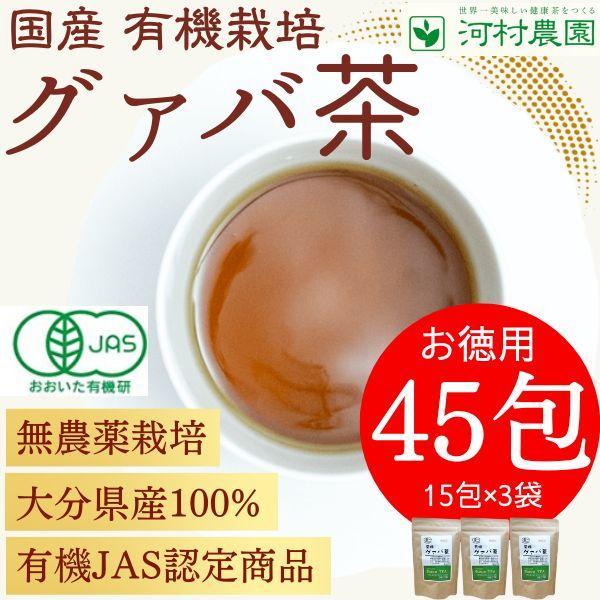 グァバ茶 国産 グアバ茶 有機 無添加 ティーバッグ 健康に良い飲み物 体にいいお茶 河村農園 3g*15包 3袋
