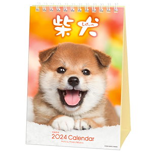 2024年　まるごと柴犬　卓上カレンダー