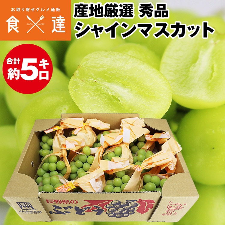 シャインマスカット 約5kg 7-12房程度 秀 産地厳選 贈答用 ぶどう ブドウ 白ぶどう 葡萄 種無し 露地栽培 冷蔵便 同梱不可 指定日不可