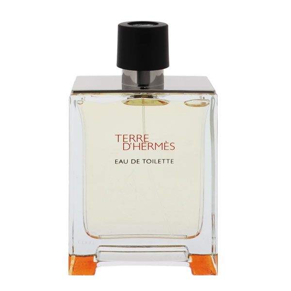 テール ドゥ エルメス （テスター） EDT SP 100ml