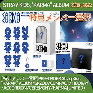 Stray Kids - straykids ポップアップ ハン　ジソン コンプ　ポラロイド　スキズ SKZOO POPUP STORE 2025』