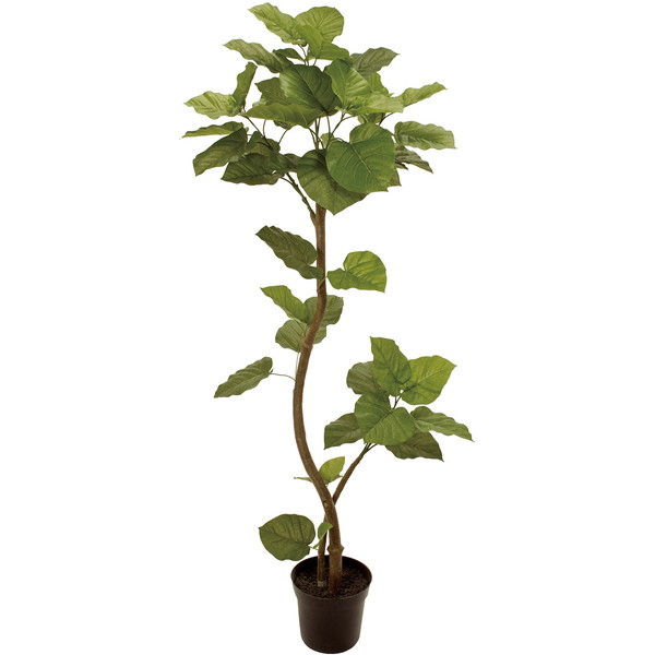 FG005229 造花 ウンベラータ スパイラル 5FGREEN メーカー直送