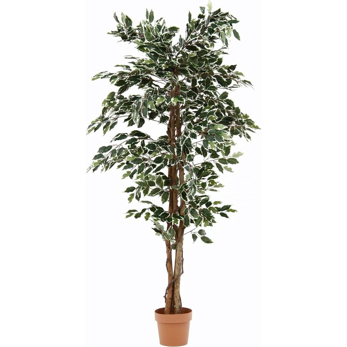 【I】不二貿易 フェイクグリーン インテリアグリーン フィカスB 人工観葉植物 完成品 インテリア 高さ170cm 大型 52664 14,669円