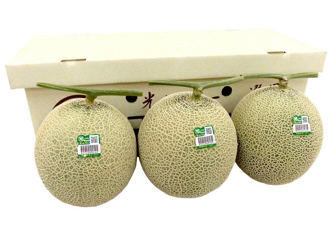 茨城県 旭村 =温室マスクメロン= 秀品 超大玉3玉 約6kg 予約 7月末以降