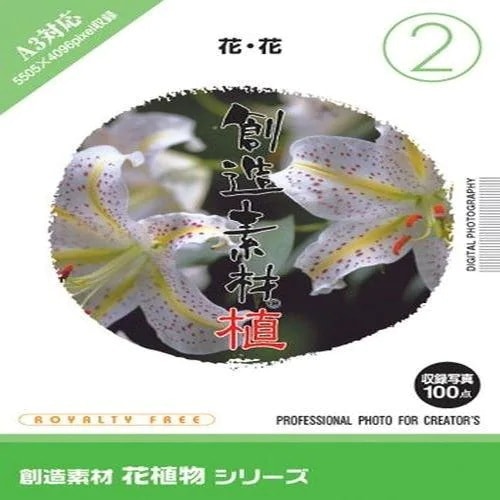 イメージランド　創造素材 花植物(2)花花　935689