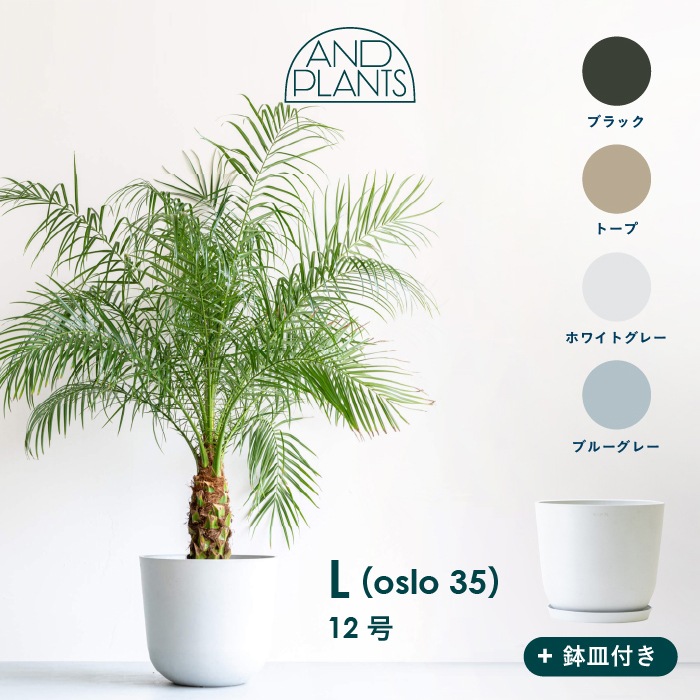 エコポッツ Oslo Lサイズ 植木鉢 12号 大型 プラスチック+天然石 プランター 軽い おしゃれなインテリアになる鉢 鉢カバー 鉢皿付き