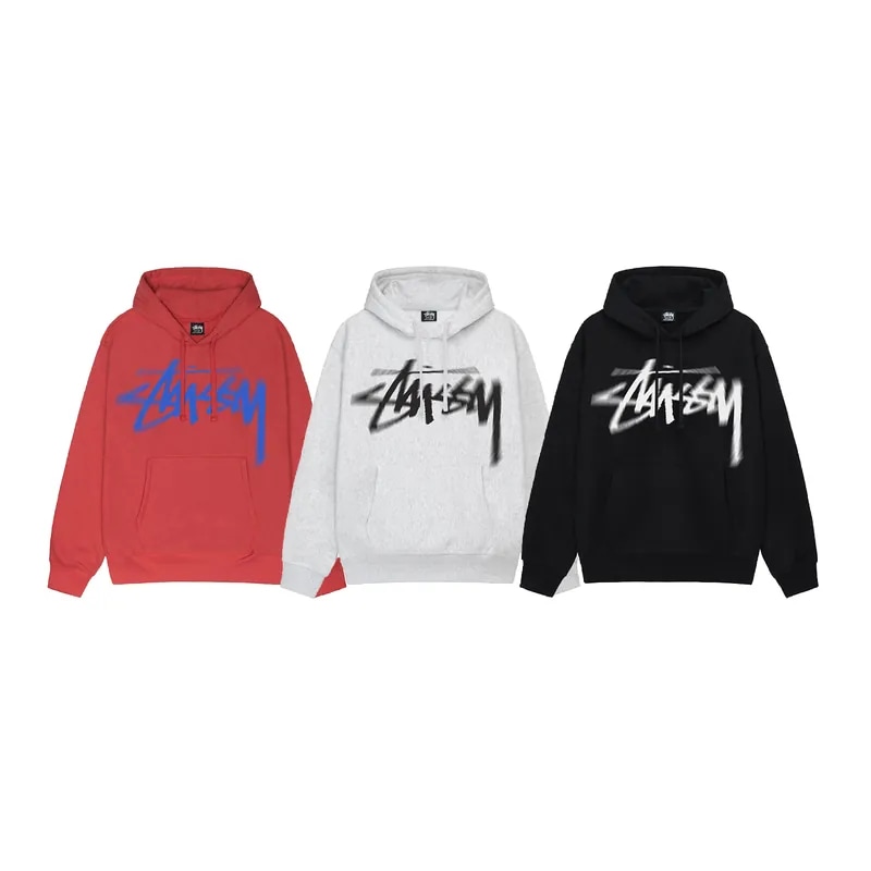 ステューシー STUSSY23FA DIZZY STOCK HOODIE 1924932 スウェット パーカー 並行輸入品