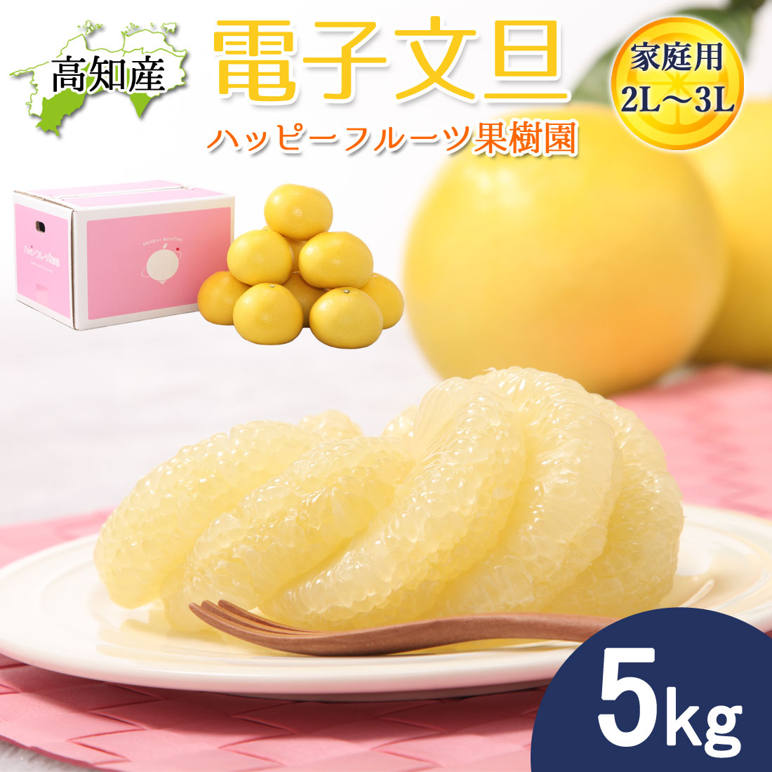 文旦 電子文旦 土佐文旦 良品 5kg 2L～3Lサイズ 7～9玉 ハッピーフルーツ果樹園 宿毛 ぶんたん 宿毛市 産地直送 高知産 5キロ ジューシー まろやか 果物 柑橘 高知 特産 フルーツ