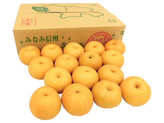 長野産 =南水梨 太鼓判= 大玉10-16玉前後 約5kg 予約 9月下旬以降