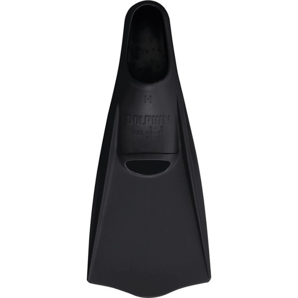 エバニュー EHA202 カラードルフィンL