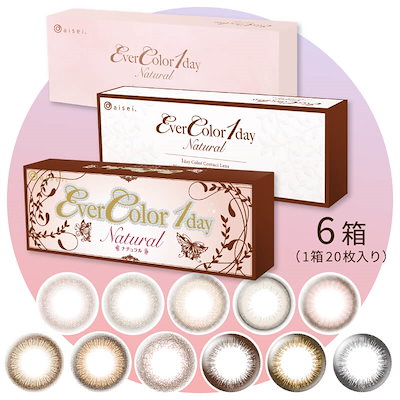 市野雅彦 線紋 水滴 書道 共箱 共布付 【公式通販】