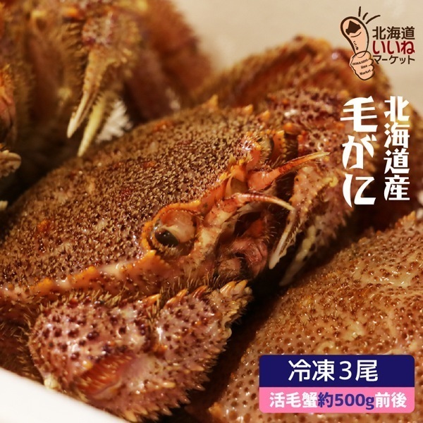 毛蟹 北海道産 毛ガニ 北海道産 急速冷凍 冷凍便 500g前後×3尾 けがに 毛がに 毛蟹 取り寄せ 北海道 かに カニ 毛ガニ チルド かにみそ 北海道グルメ お取り寄せ ギフト 【ym_rta】