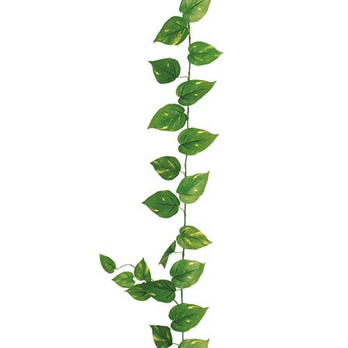 もらって嬉しい出産祝い ライトグリーンガーランド ポトスガーランド(69/ワイヤー入り) 観葉植物