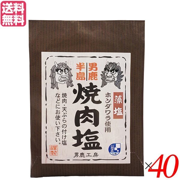 塩 天然塩 食塩 男鹿半島 焼肉塩 40g 40個セット 男鹿工房