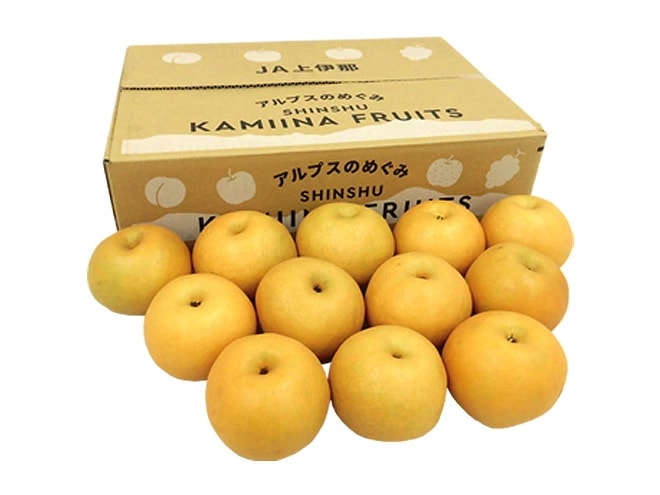 長野県 JA上伊那 =味合格 南水梨= 10-16玉前後 約5kg 特秀品（味合格等級） 予約 9月下旬-10月