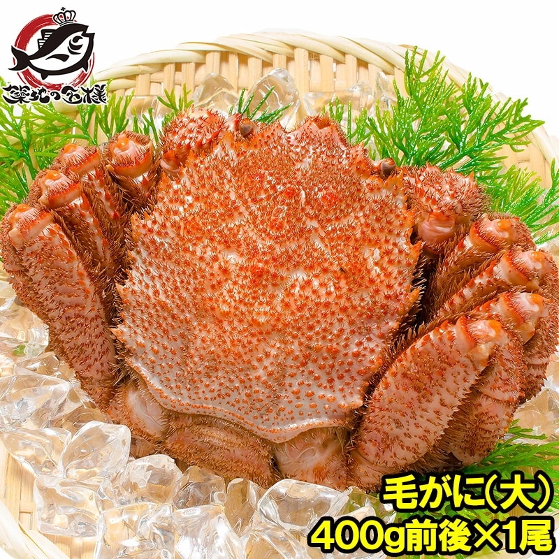 毛ガニ 毛蟹 浜茹で毛がに姿 平均400g前後×1尾 ボイル 冷凍 北海道産 最高級 堅蟹 身もカニ味噌もぎっしり！築地の正規品堅ガニ かに カニ 蟹 カニ鍋 かに味噌 築地市場 豊洲市場