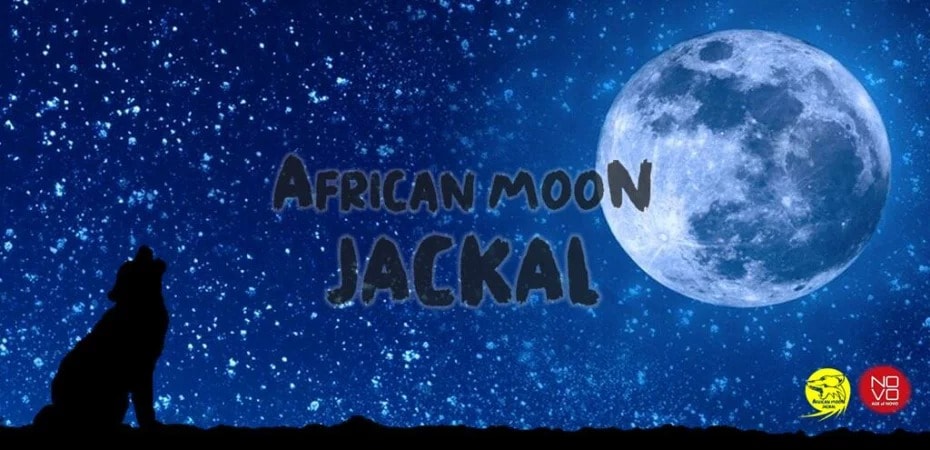受注焙煎 ! 2kg ウガンダ AFRICAN MOON JACKAL ルウェンゾリ 2022年クロップ [選べる焙煎度合い] コーヒー豆 大山珈琲 業務用 自家焙煎 卸
