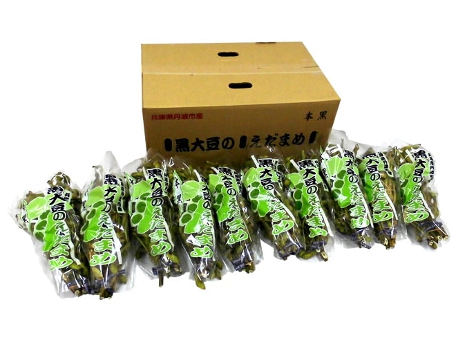 兵庫 丹波地方 =枝付き黒枝豆 本黒= 約500-700g x10pc 黒豆 予約 10月中下旬以降