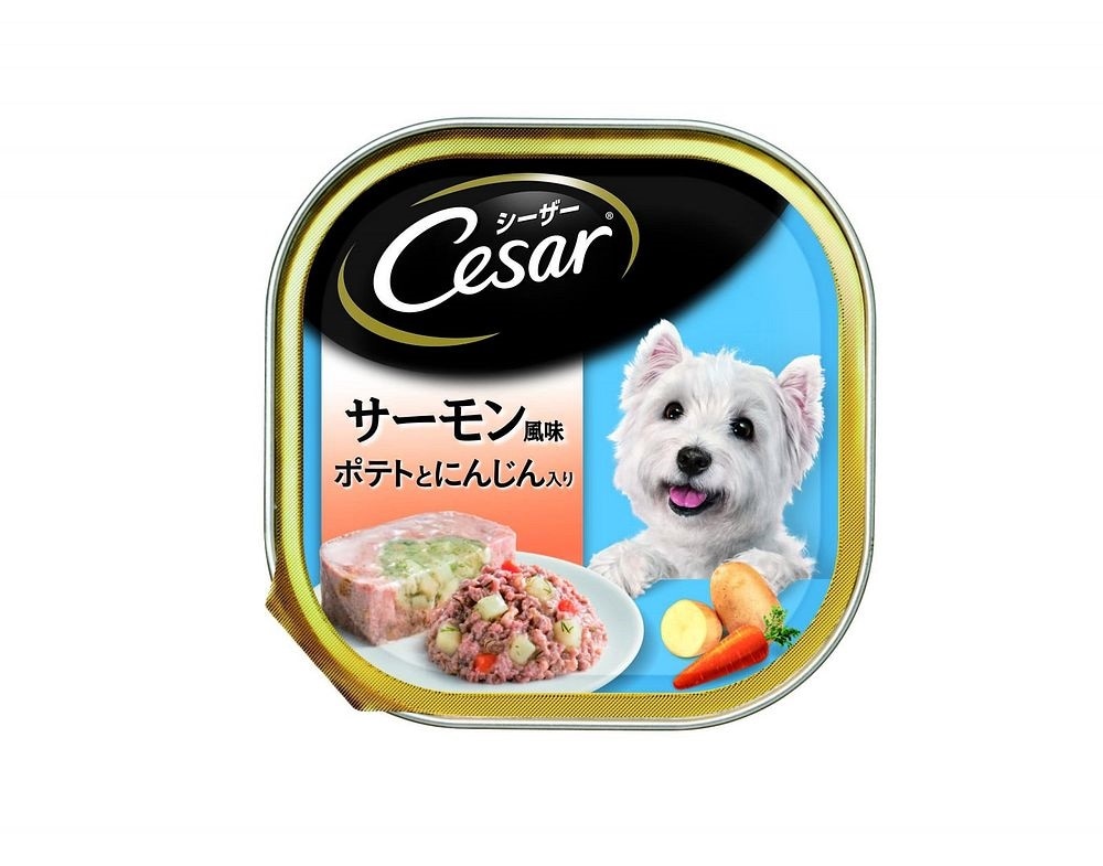 小物などお買い得な福袋 Ce36n まとめ買い シーザー サーモン風味 X24 犬用 100g ポテトと