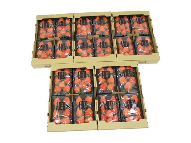 静岡県 =苺屋山崎 ももかベリー= 秀品 4pc（1pc 約250g）x5箱 いちご 予約 1月下旬以降