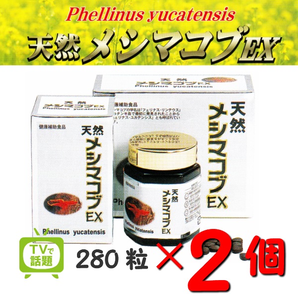 お得な2個セット 天然メシマコブEX 280粒2個 メシマコブ　霊芝 アガリクス 免疫 話題のメシマコブ 天然 サプリメント Phellinus yucatensis