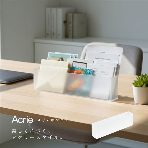 [12個セット]アクリー スリムボックス（スモーク/半透明） スリッパラック 卓上収納 文房具 収納ケース 小物 デスク周り 整理 玄関 オフィス デスクオーガナイザー 完成品 NK-872