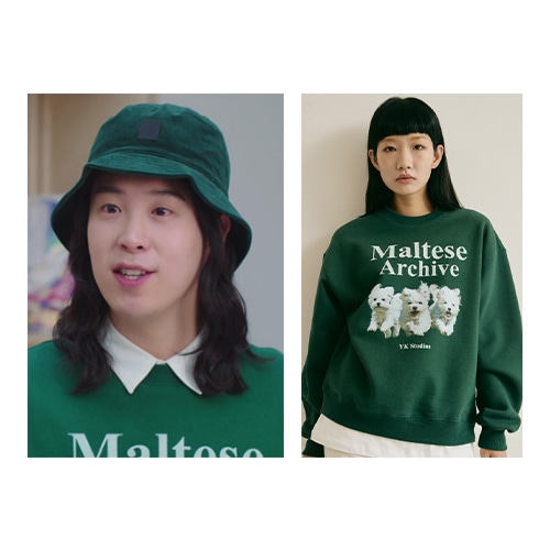 [ピオ/エラスト スンヨプ 着用] マルチーズ アーカイブ マンツーマンTシャツ グリーン/人気ジュエリー 韓国ファッションスタイル デイリーアクセサリー SNSで人気ニット・セーター
