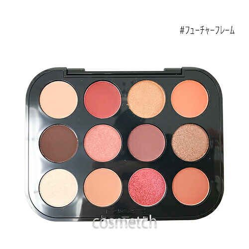 コネクト イン カラー アイシャドウ パレット X 12 12.2g #フューチャー フレーム
