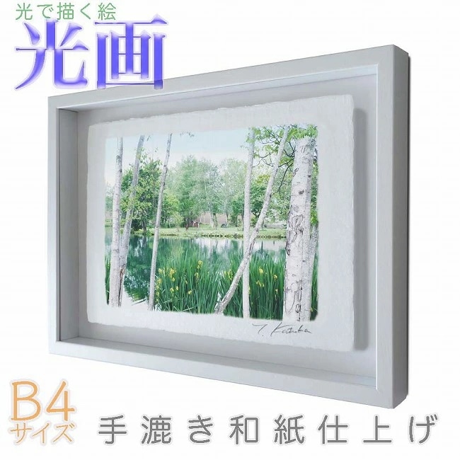 プロカメラマン片岡司 光画緑輝く B4サイズ 光で描く絵 手漉き和紙仕上げ 010-B4-ホワイト綺麗 背景 パステルカラー 和紙アート(21y8m)