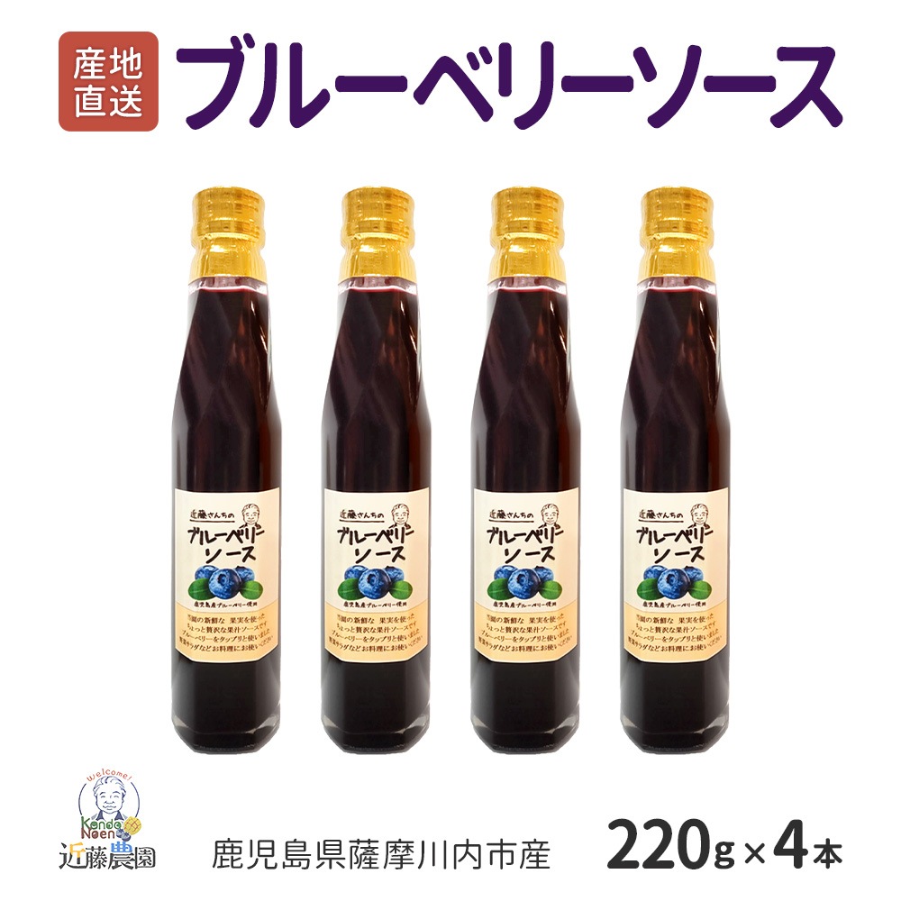 鹿児島県産 ブルーベリーソース 220g × 4本セット 近藤農園 濃厚 ブルーベリー ソース 詰め合わせ フルーツソース ヨーグルト カクテル くだもの 無添加 国産 近藤さんち お取り寄せ グル