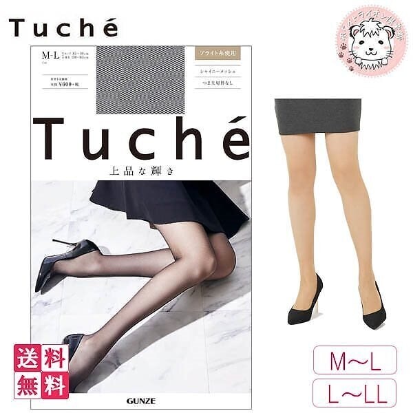トゥシェ シャイニーメッシュ柄 パンティストッキング TH211D 10足セット M-L L-LL
