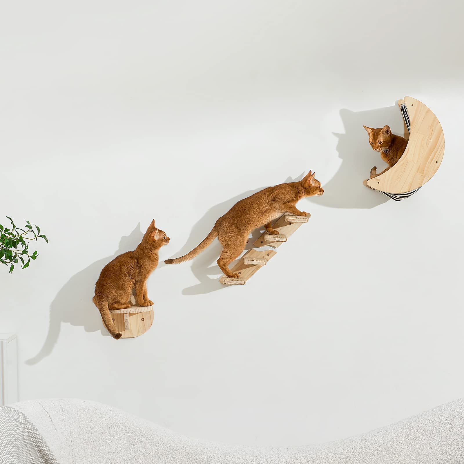 SPAKITCHCE 猫 壁棚 取り付け家具 - 猫 クライミング 棚 猫 壁 散歩 ステップ 子猫 無垢材 ブリッジ スリーピングパーチ ハンモックベッド スクラッチポスト 屋内猫と子猫用 5,813円