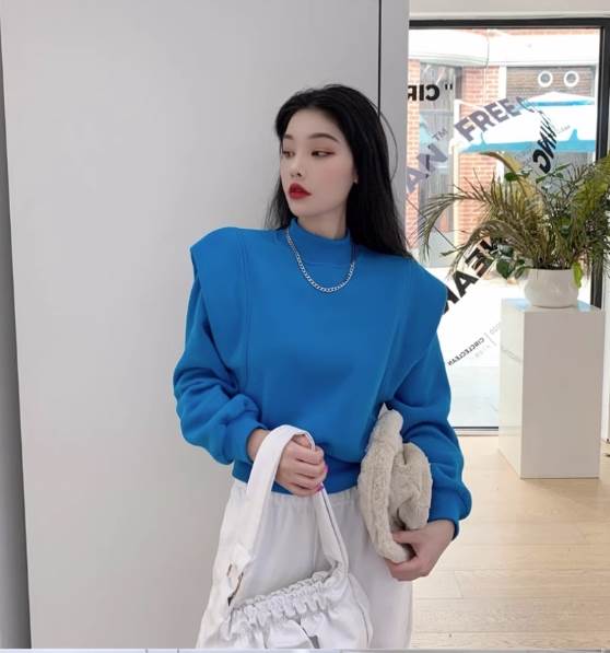 レディース トップス ニット セーター プルオーバー ショート 長袖 ボールドショルダー ハイネック 切り替えデザイン 中厚手 大人可愛い きれいめ 上品 レトロ 個性的 モード系 エレガント モダン 5,295円