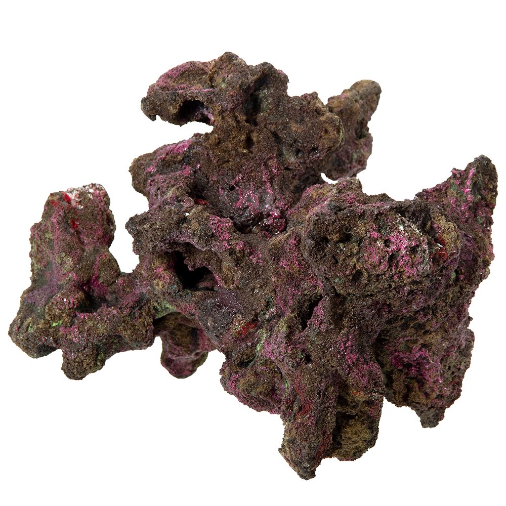 ＯＲＣＡ　ＯＣＥＡＮ　ＲＯＣＫ　２９　２５X２２X２８ｃｍ　ライブロックレプリカ　ＣＲＣ10―35―90―30―00