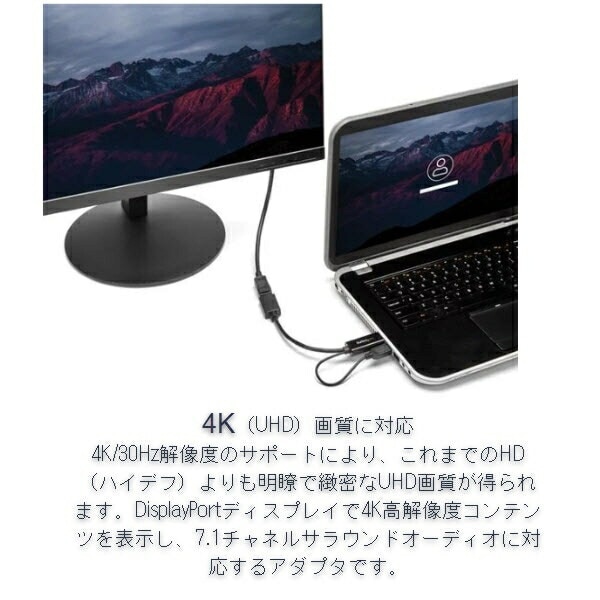 StarTech.com [HD2DP] HDMI - DisplayPort変換アダプタ USBバ