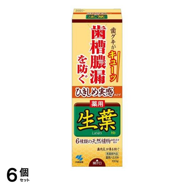 ひきしめ生葉(しょうよう)hb 100g 6個セット