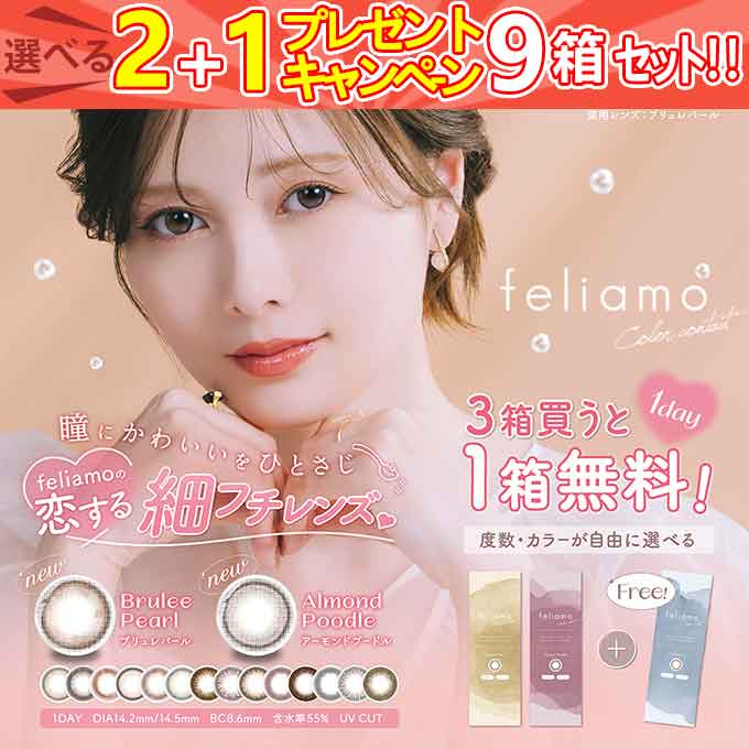 【合計9箱90枚】カラコン 1day feliamo フェリアモ　ワンデー inter カラーコンタクトレンズ 14.5mm 14.2mm 度なし 度あり ナチュラル 7,880円
