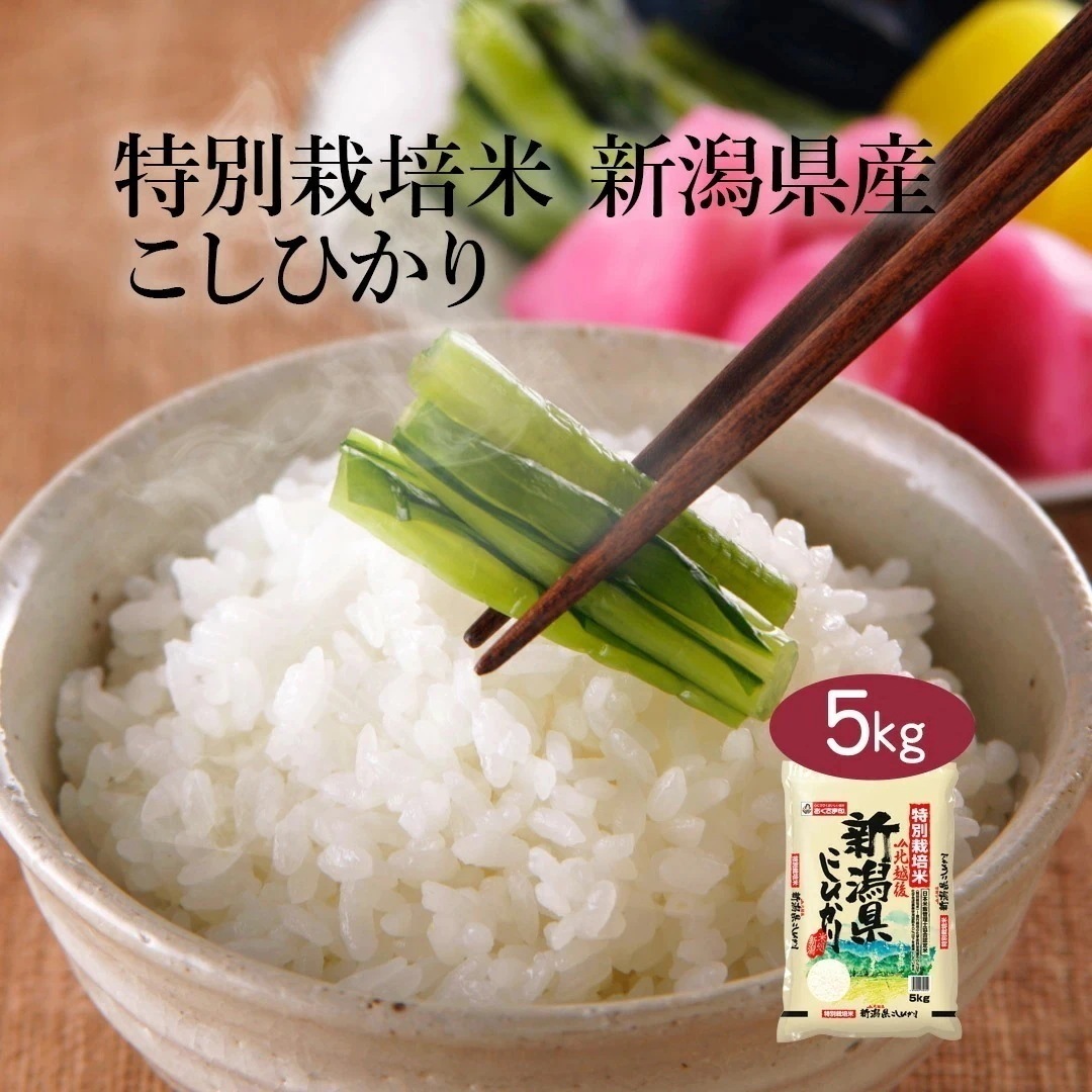 米 精米 新潟県 特別栽培米 こしひかり 5kg 令和6年産 JA北越後指定 お米 こめ 5キロ 安い おこめ 白米 国産 食品 ギフト 引っ越し 内祝い お中元 お歳暮 送料無料