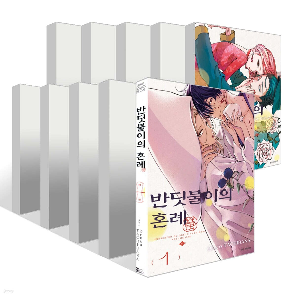 コミック ホタルの嫁入り 1～10巻セット / 반딧불이의 혼례 1-10 세트 / 韓国語版 ロマンス