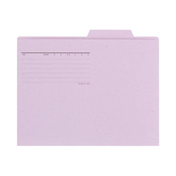 (まとめ) プラス 個別フォルダー FL-081IF A4E VL 10枚(×10セット)